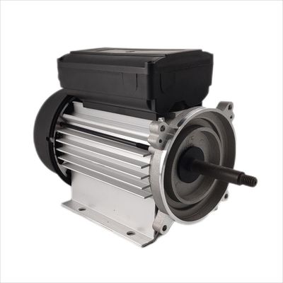 300-500W सबमर्सिबल मोटर सिंगल फेज इलेक्ट्रिक 1hp 3000rpm परिसंचारी पंपों के लिए