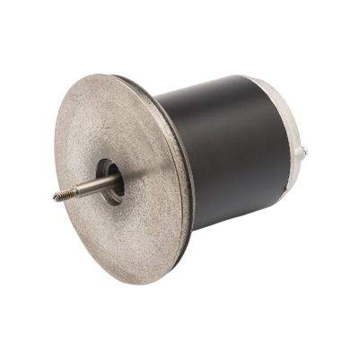 टेनिस बॉल मशीन के लिए 83ZYT 110-220V 300w स्थायी चुंबक माइक्रो डीसी मोटर